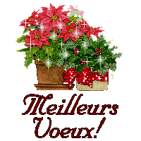 VoeuxGif.gif